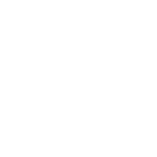 Carat